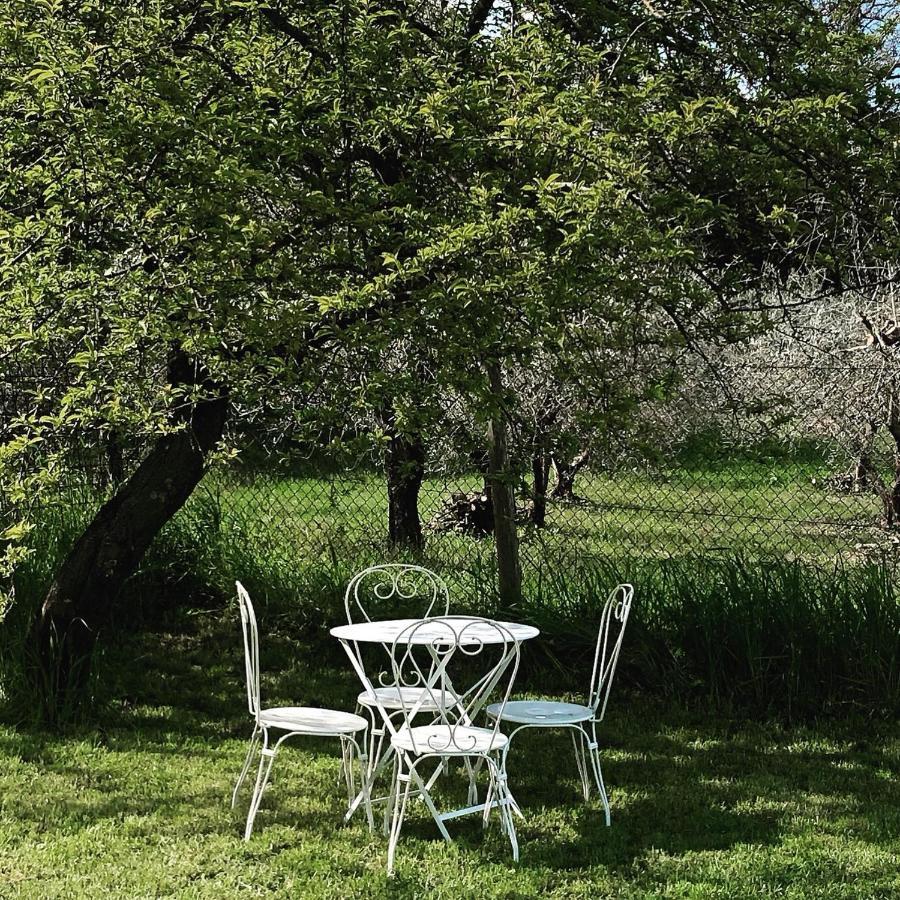 Lemon Tree Boutique Guest House Todi Eksteriør bilde